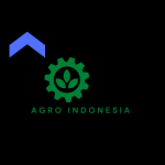PT. HOKKY AGRO INDONESIA
