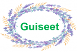 Guiseet Technology Co., Ltd