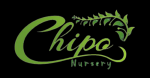 Chipo Nursery