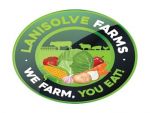 Lanisolve