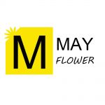 Guangzhou Mayflower Trading Co., Ltd