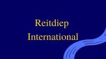 Reitdiep International