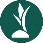 Galuku Lanka exports (pvt) Ltd