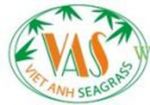 VIET ANH SEDGE PRODUCTION EXPORT JSC