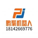 Changsha Pengju Robot Co., Ltd.