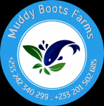 MUDDYBOOTSFARMS GHANA