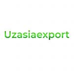 IT EXPORT ASEAN LLC