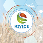 Nivice