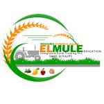 Elmule investment