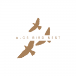 ALCS Bird Nest