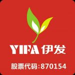 YIFA Holding Group