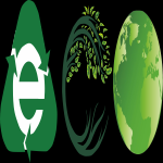 Eco Friendly Exports