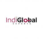 IndiGlobal Exports