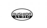 Guangdong Oushida Electronic Audio Co., Ltd