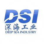 Shandong Deepsea Industrial Technology Co., Ltd