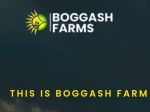 Boggash farms Nigeria  Limited