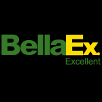 Bellaex (Ningbo) Intelligent Equipment Co., Ltd.