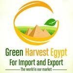 Green Harvest Egypt for Import