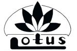 lotus chemical (hk) limited