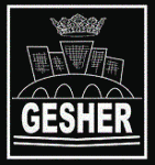 GESHER GROUP