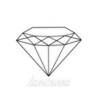 Luminova Company