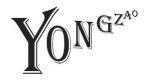 YZ (HONGKONG) TECHNOLOGY LMITED