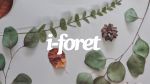 I-Foret