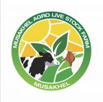 Musakhel Agro Livestock Farm