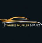 White Muffler and brake