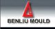 Shanghai Benliu Precision Mould Co, Ltd