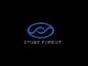 xiamen stone forest co., ltd