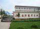 Linyi City Zhensheng Wood Factary