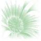 Hortichina Ltd