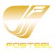 FOSTEEL GROUP Foshan nanhai Fengyang Electricity Co., Ltd