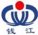 hangzhou qianjiang friction material company ltd