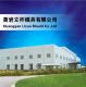 Taizhou Huangyan Lizuo Mould Co., Ltd