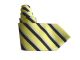 Zhejiang Jintiande Necktie Group Co., Ltd.