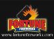 Fortune Fireworks CO., LTD.