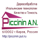 PICCININ A.N., Individual Proprietorship