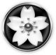 Sakura Tech, Inc