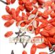 NINGXIA LOVE GOJI BIOTECHNOLOGY DEVELOPMENT CO., LTD