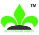 PRINCE SOLAR ENERGY FACTORY