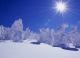 Yiwu Snowsun Industry &Trade Co., Ltd