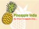 Pineapple India