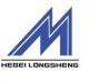 HEBEI LONGSHENG METALS AND MINERALS CO LTD