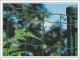 WIRE MESH FENCE CO., LTD