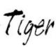 Zhejiang Tiger Trade Co., ltd