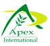 Apex International