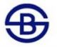 Shanghai Baoshu Steel Co, Ltd