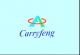 Shenzhen Carry Feng Electronic CO., LTD.